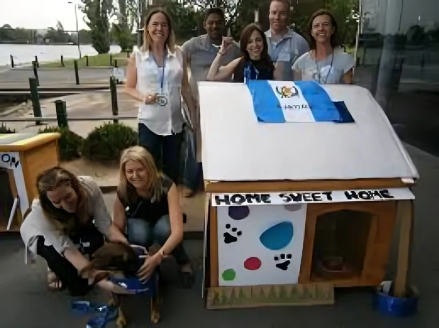 Team Building Dog House
